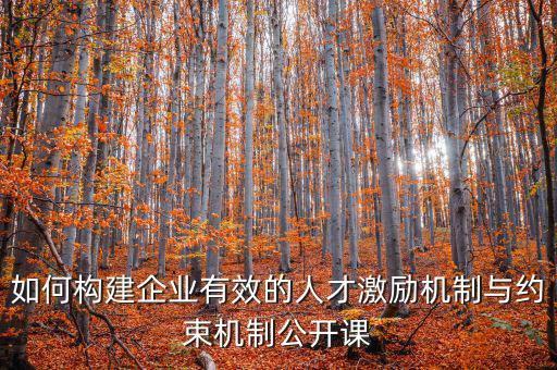 財務激勵與約束機制的設計原則是什么，財務激勵約束機制的概念是什么