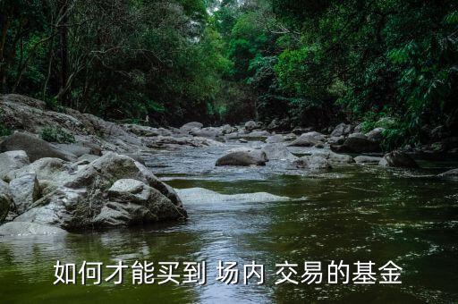 如何才能買到 場內 交易的基金