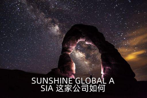 永信亞洲有限公司主要業務是什么，SUNSHINE GLOBAL ASIA 這家公司如何