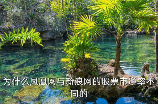 為什么鳳凰網與新浪網的股票市凈率不同的