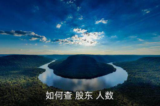 怎么樣查最近的股東持股人數,股東出席股東會議享有表決權