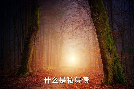 什么是小貸公司私募債，什么是私募債