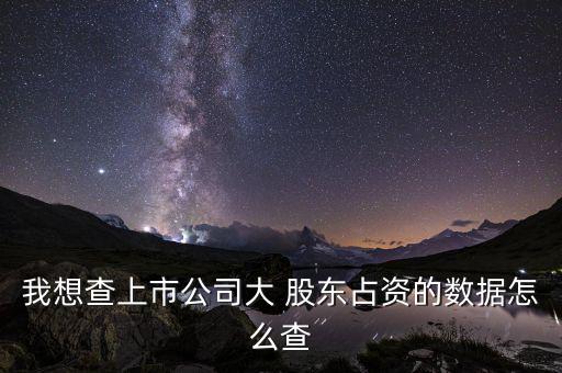 我想查上市公司大 股東占資的數據怎么查