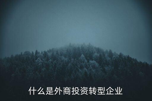 什么是外商投資轉型企業