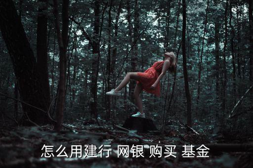 怎么用建行 網銀 購買 基金
