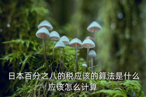  日本百分之八的稅應該的算法是什么應該怎么計算