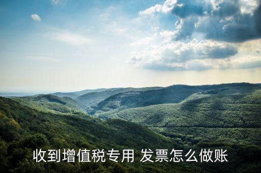 收到增值稅專用 發票怎么做賬