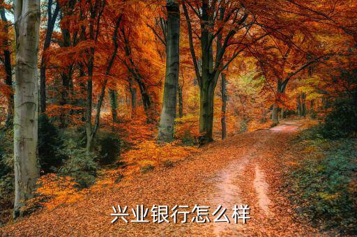  興業銀行怎么樣