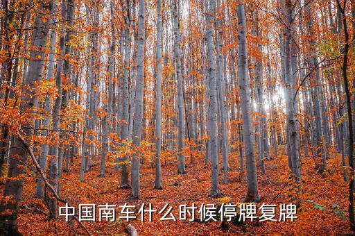 中國南車什么情況，中國南車跌停預示著大盤明天有什么狀況