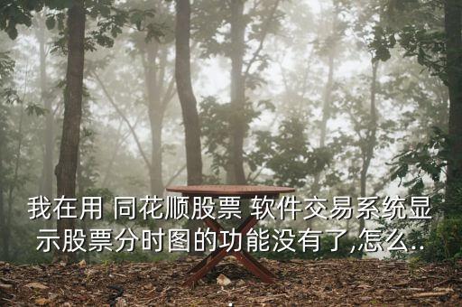 我在用 同花順股票 軟件交易系統顯示股票分時圖的功能沒有了,怎么...