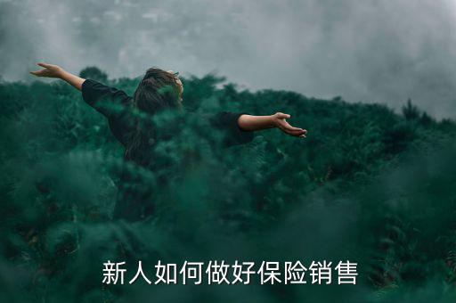 保險新人怎么賣保險,保險業務員的職業道路