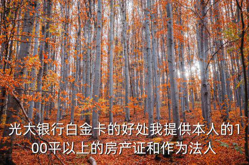 光大銀行白金卡的好處我提供本人的100平以上的房產證和作為法人