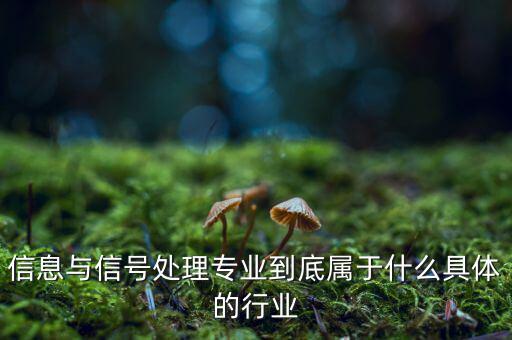 信息與信號處理專業到底屬于什么具體的行業