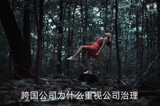 跨國公司為什么重視公司治理