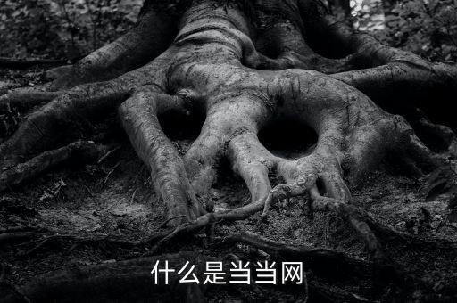 什么是當當網