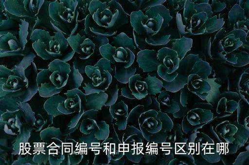 股票合同編號和申報編號區別在哪