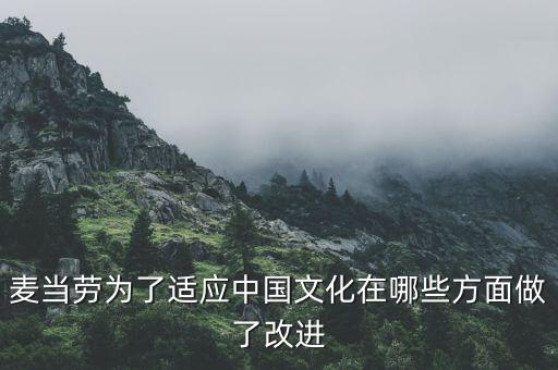 麥當(dāng)勞中國的愿景是什么，麥當(dāng)勞為了適應(yīng)中國文化在哪些方面做了改進