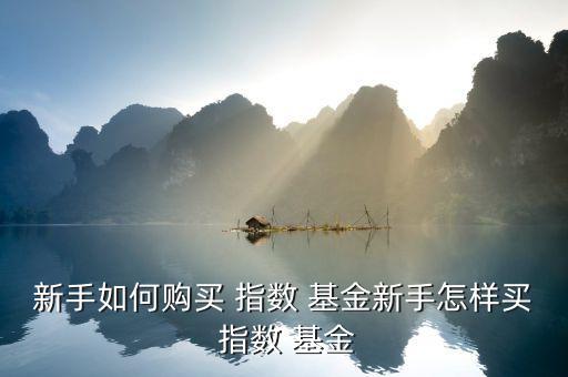 怎么買賣指數基金,新手如何購買指數基金?