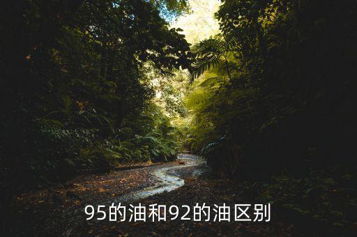 95的油和92的油區別