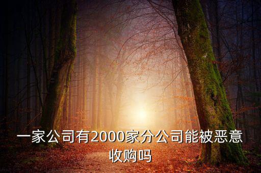 初靈信息為什么要并購，一家公司有2000家分公司能被惡意收購嗎