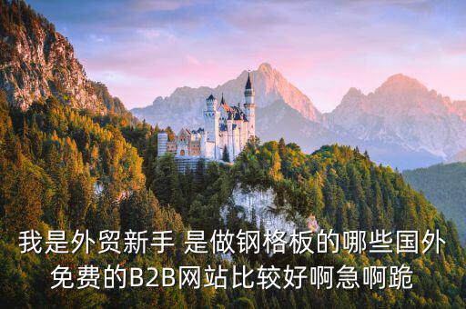 我是外貿新手 是做鋼格板的哪些國外免費的B2B網站比較好啊急啊跪