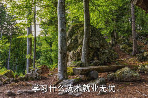 學習什么技術就業無憂