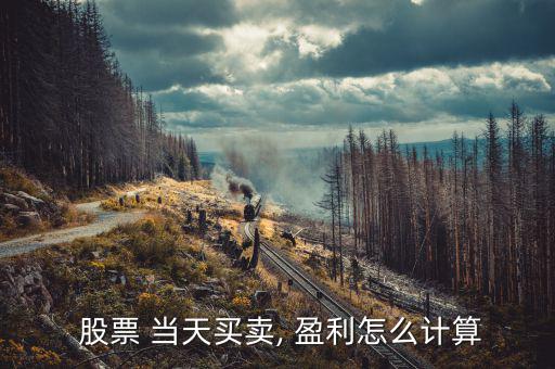  股票 當(dāng)天買(mǎi)賣(mài), 盈利怎么計(jì)算