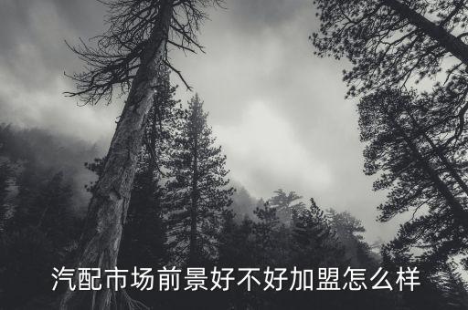 上海力新汽配怎么樣,汽配好不好看中國汽車數量加盟是發展壯大