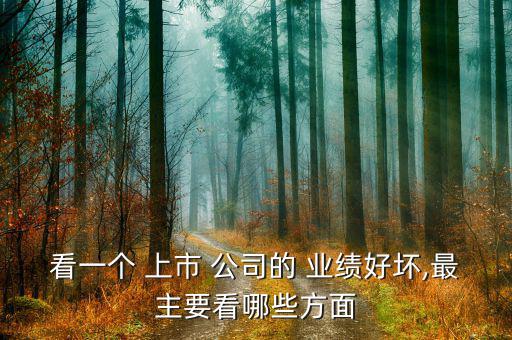 怎么看上市公司業績,一文讀懂!堅毅向前預算案
