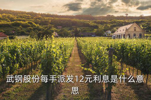 武鋼股份每手派發12元利息是什么意思