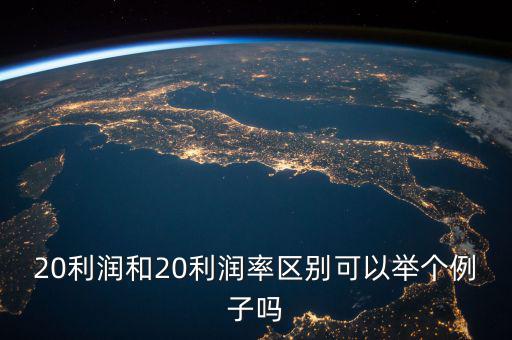 20利潤和20利潤率區別可以舉個例子嗎