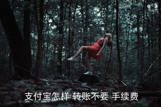  支付寶怎樣 轉賬不要 手續費