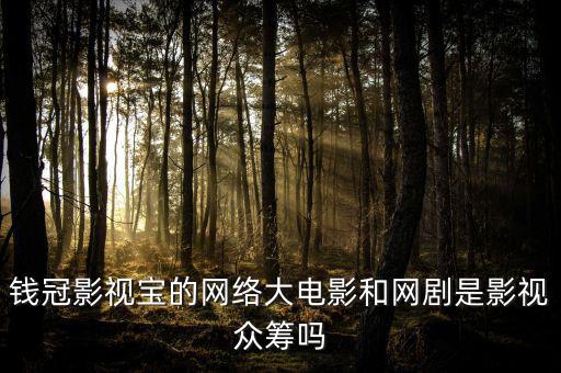 張棟偉為什么離開眾籌網，紫蒙軒網站是真的可以看新的嗎