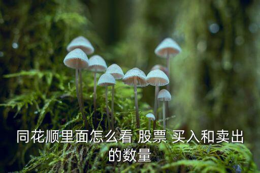 同花順里面怎么看 股票 買入和賣出的數量