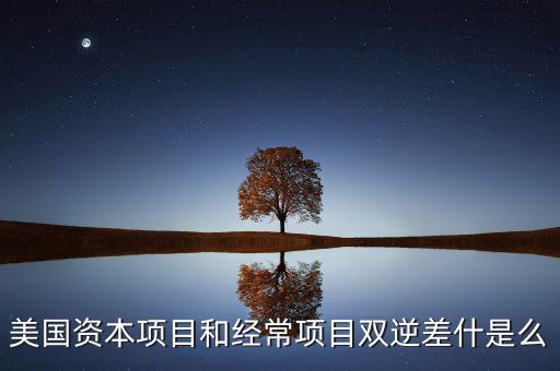 雙逆差是什么意思，逆差是什么意思
