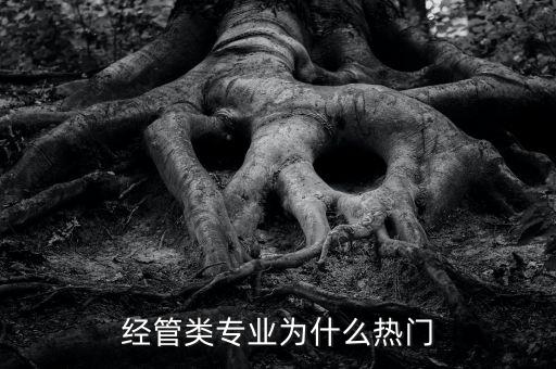 經管類專業為什么熱門