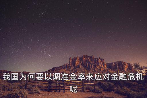 我國為何要以調準金率來應對金融危機呢