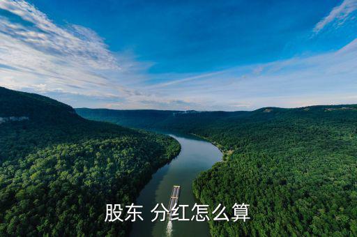 康寧終身分紅怎么算,保險公司分紅計劃細節