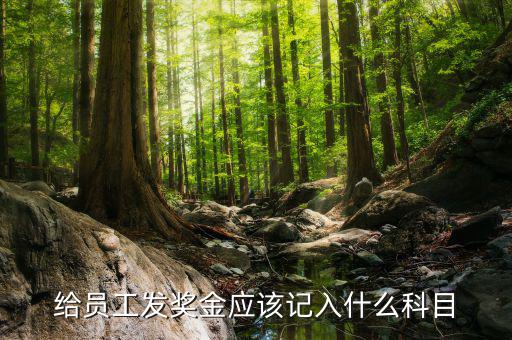 給員工發獎金應該記入什么科目