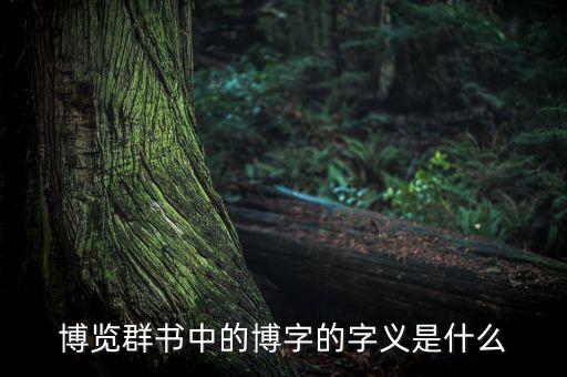 廣博的博是什么意思，廣博的博什么意思