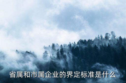省屬和市屬企業的界定標準是什么