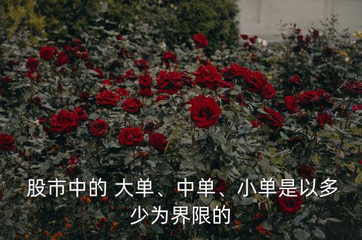  股市中的 大單、中單、小單是以多少為界限的