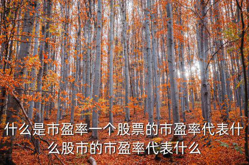 平均市盈率說(shuō)明什么，什么是市盈率一個(gè)股票的市盈率代表什么股市的市盈率代表什么