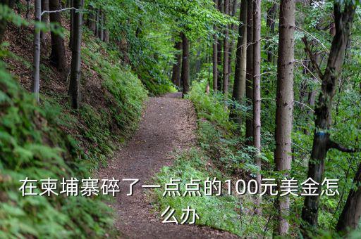 在柬埔寨碎了一點點的100元美金怎么辦