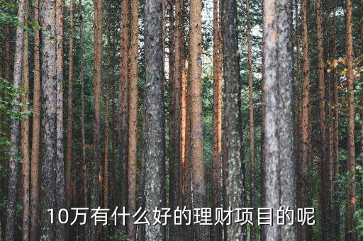 10萬(wàn)做什么理財(cái)好，10萬(wàn)有什么好的理財(cái)項(xiàng)目的呢