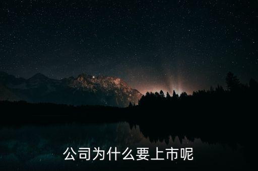 公司為什么上市，公司為什么要上市呢