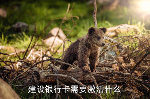 建行信用卡激活需要什么，激活信用卡需要準備什么東西身份證和戶口本