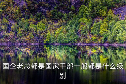 中交地產總經理屬于什么級別干部，國企老總都是國家干部一般都是什么級別