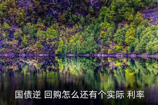 國(guó)債逆回購利率怎么看,國(guó)債逆回購交易軟件可查詢收益率和利率