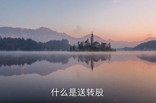 什么叫送股，什么是送轉股